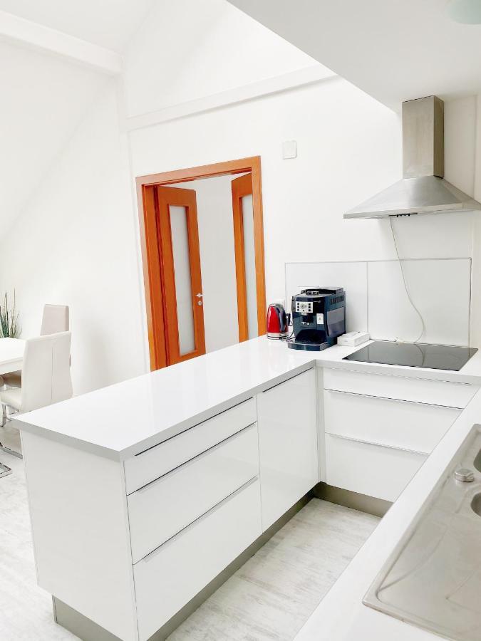 Loft With Rooftop And Free Parking In Garage Будапеща Екстериор снимка