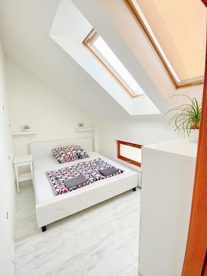 Loft With Rooftop And Free Parking In Garage Будапеща Екстериор снимка
